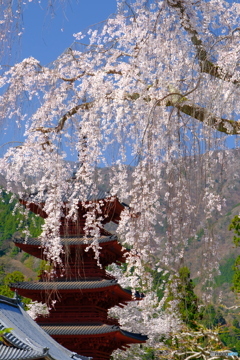 身延山久遠寺五重塔