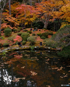 円通院｢心字池｣