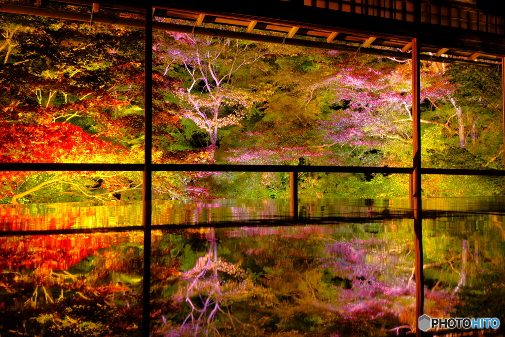 瑠璃光院　夜間特別拝観