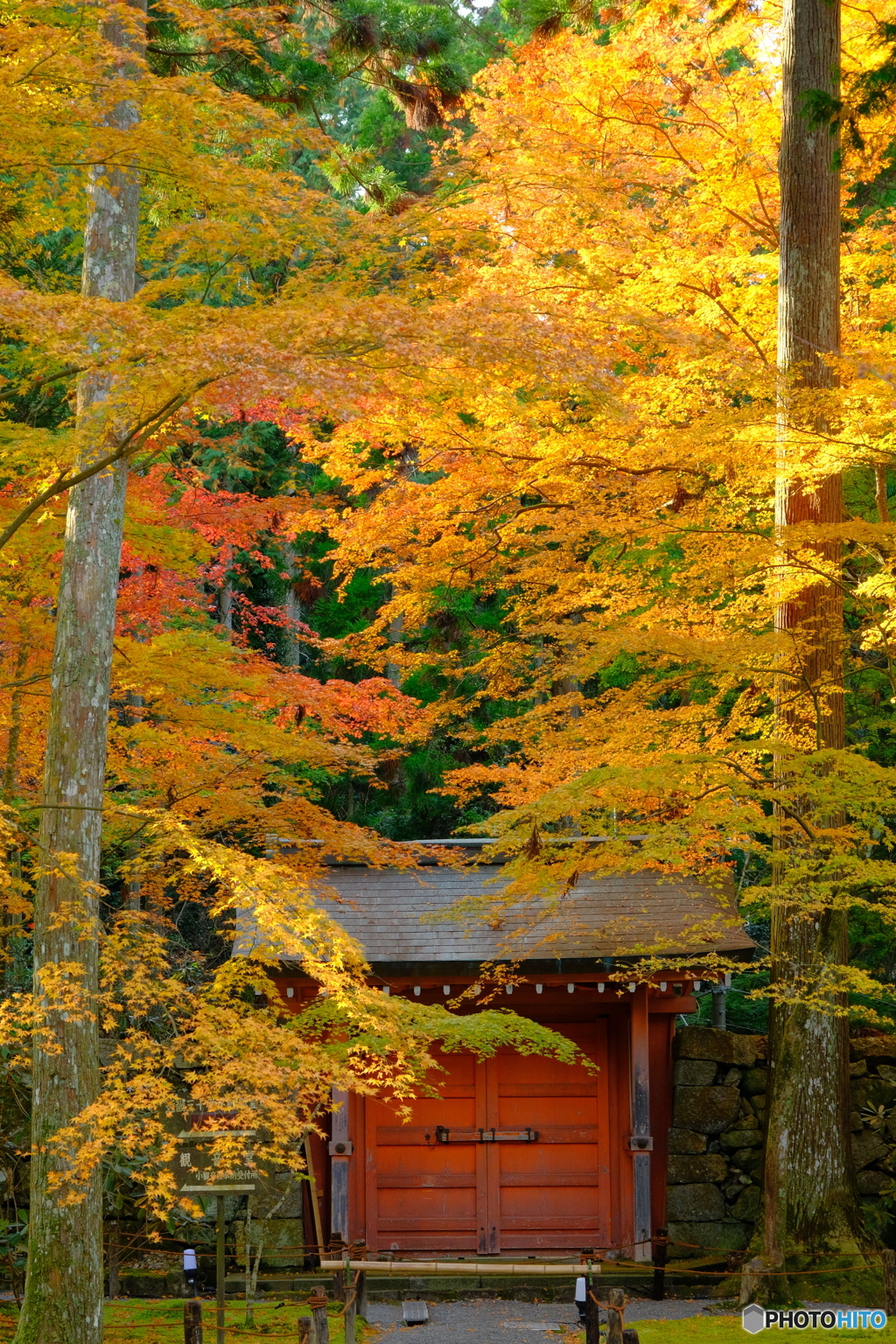 大原 三千院