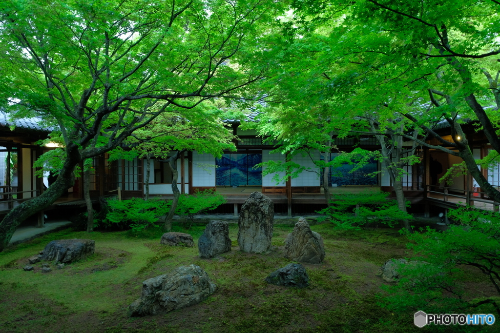 新緑の潮音庭
