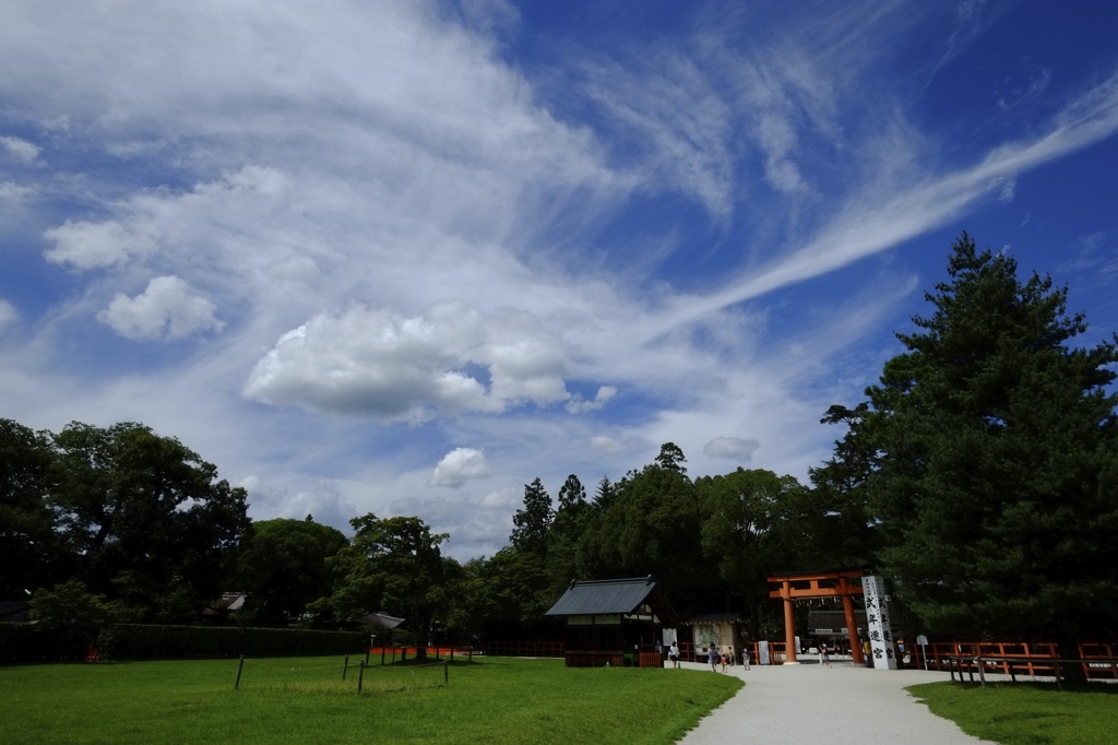 上賀茂の神雲