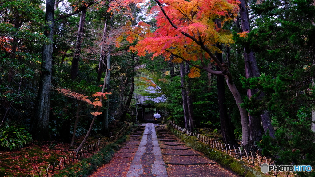 しっとり石畳の参道