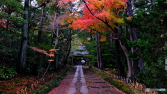 しっとり石畳の参道