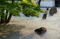 光明禅寺