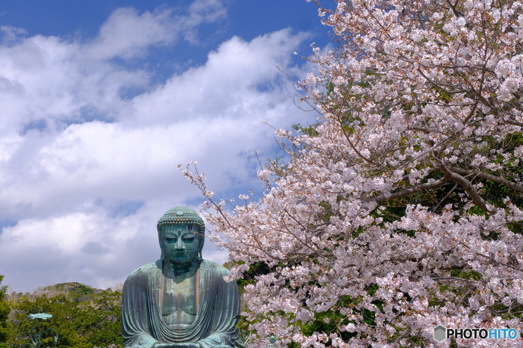 謎多き大仏