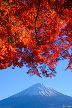 写真は楽しい。