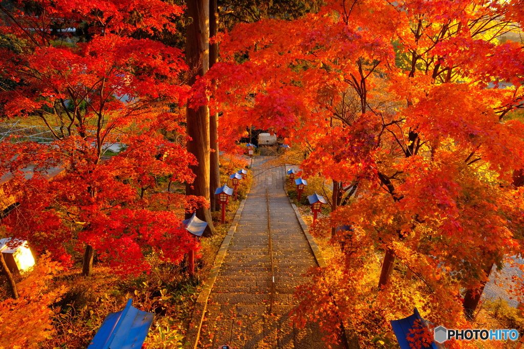 ぶどう寺の紅葉