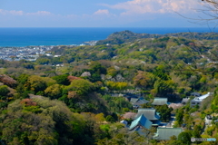 春の相模湾