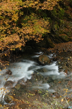 多摩川（丹波川）の流れ