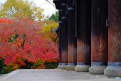 南禅寺 三門