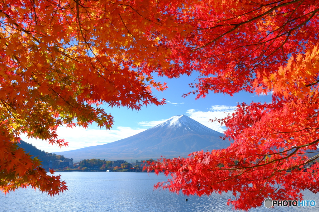 河口湖　額縁紅葉