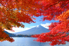 河口湖　額縁紅葉