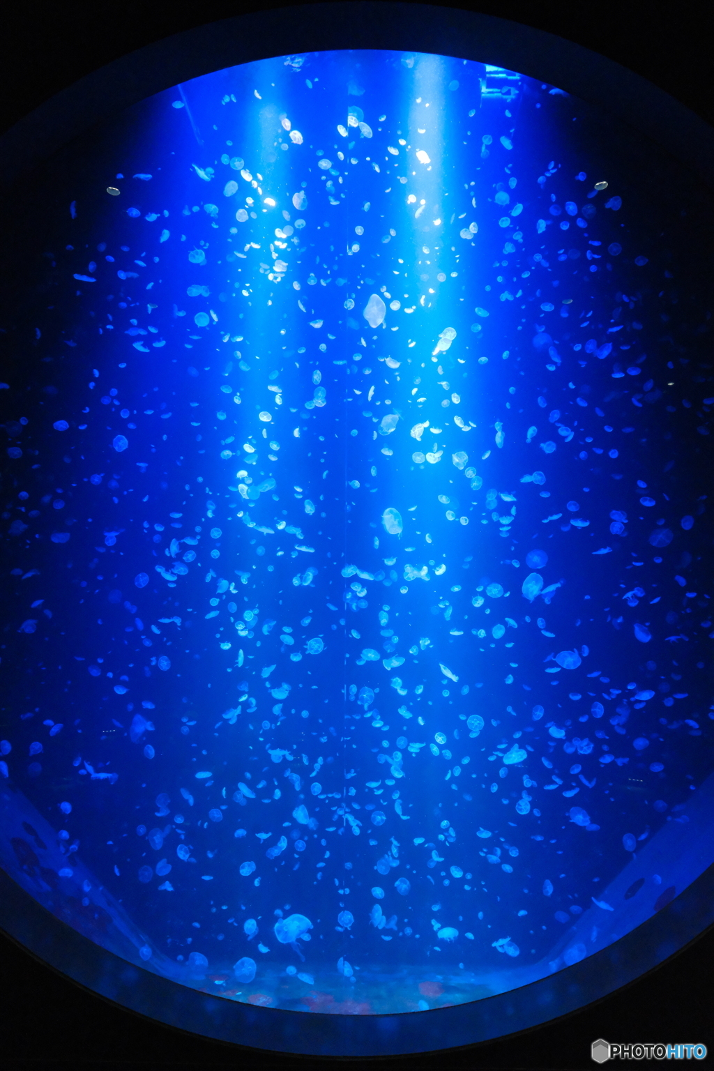 クラネタリウム