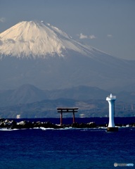 赤い鳥居と裕次郎灯台