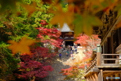 京都の紅葉は神護寺から始まる。