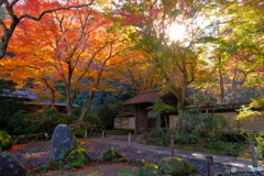 杪秋 瑞泉寺