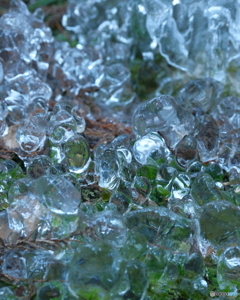 フローズンアイス