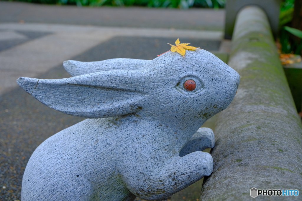 明月院のマスコット(^_^)