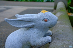 明月院のマスコット(^_^)