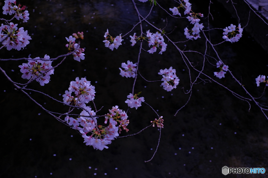 幻想
