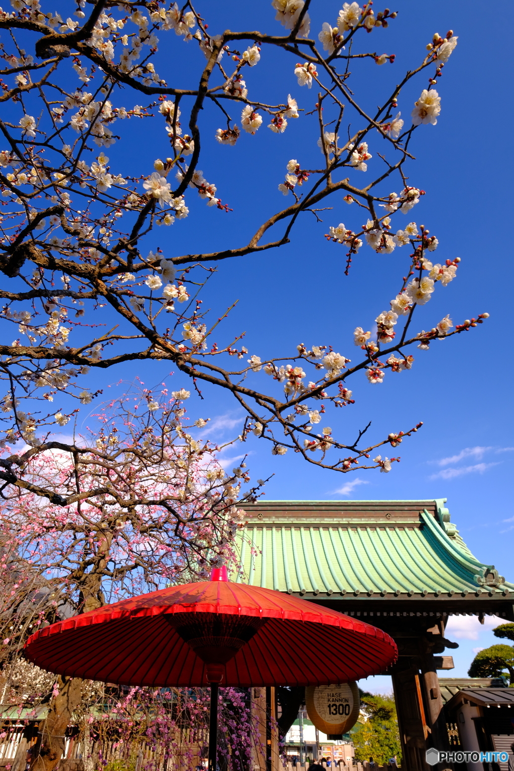 春の宴