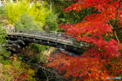 日本三奇橋 猿橋