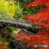 日本三奇橋 猿橋