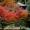 丹波のもみじ寺