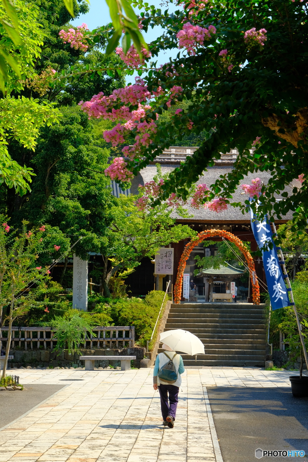 門前の百日紅