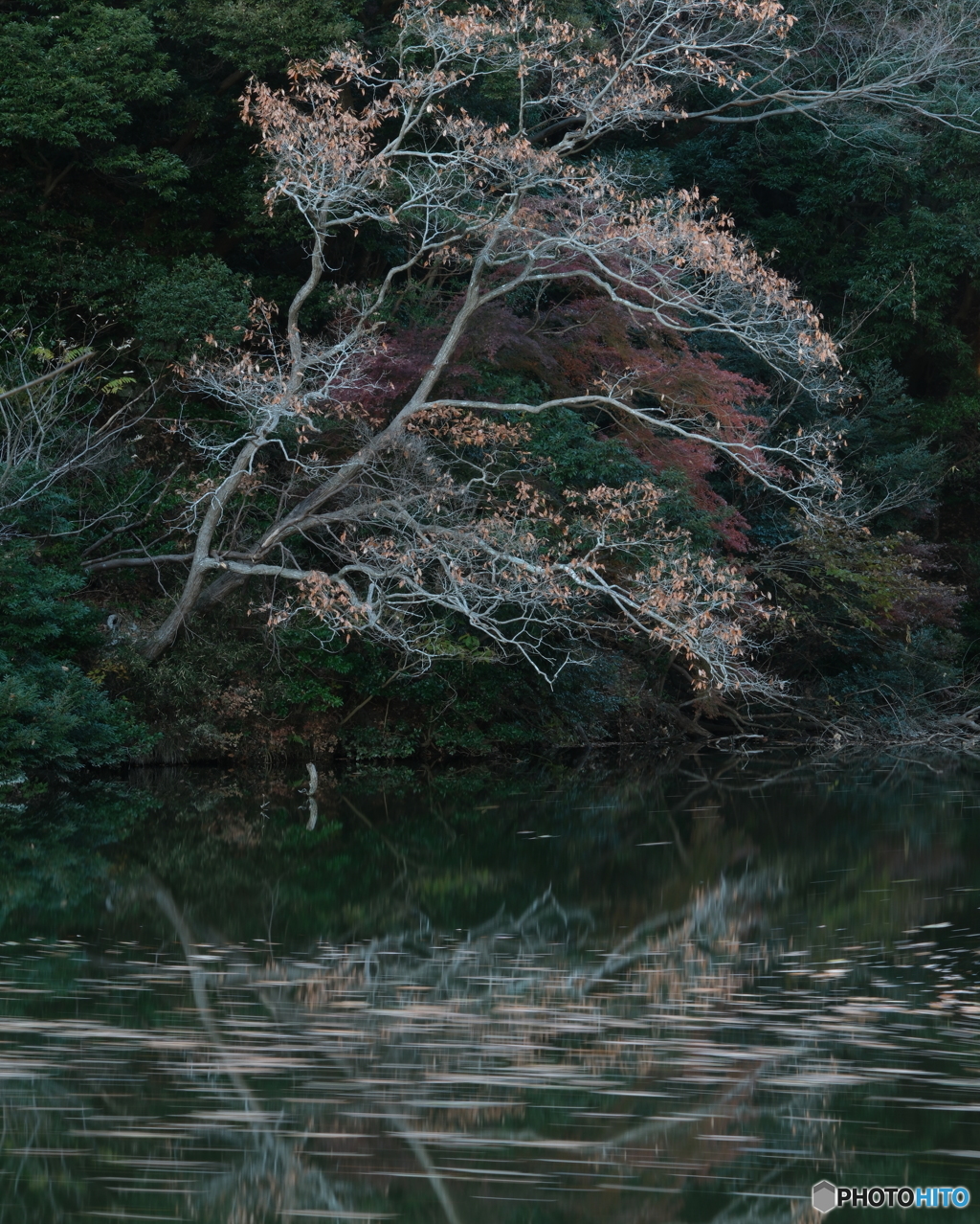 過ぎ行く秋
