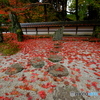 染まる枯山水