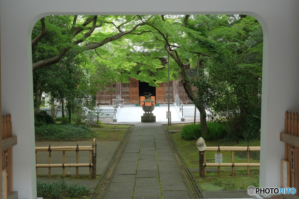 緑の名所は紅葉の名所