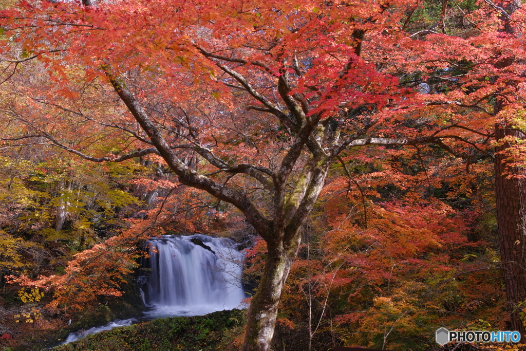 鐘山の滝