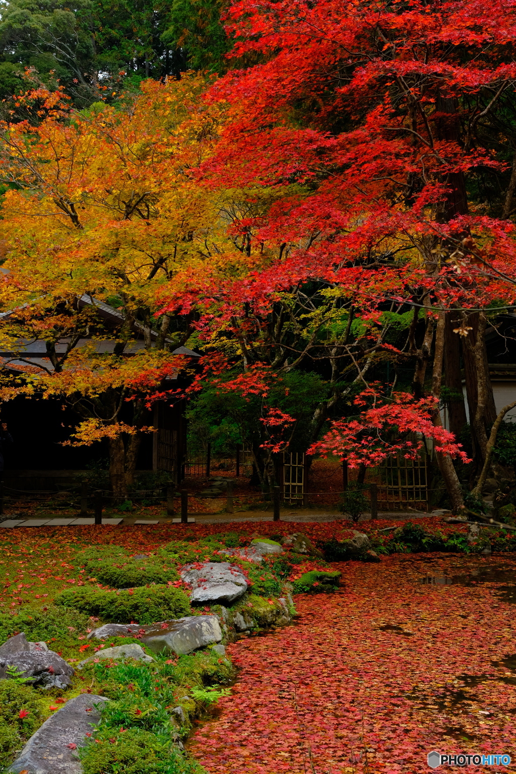 南禅寺 南禅院