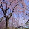 朝の山下公園