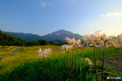 夕暮れ時　寺坂棚田