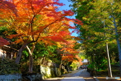 明け渡り 円覚寺道