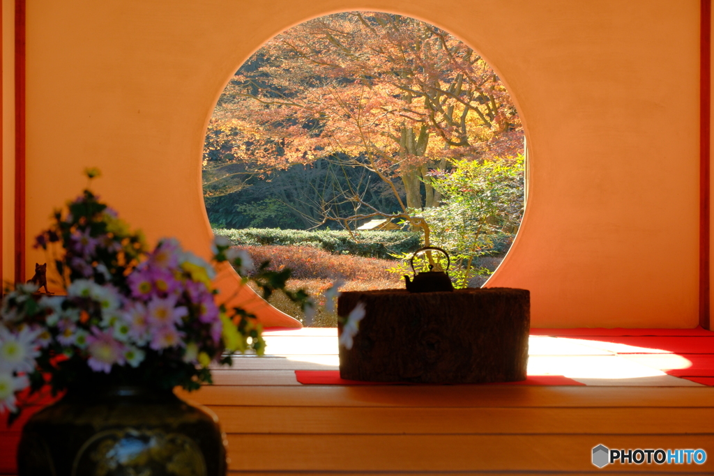 明月院の秋　２０２５