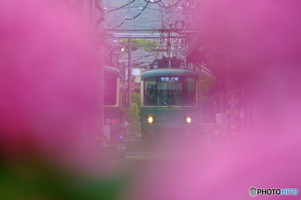 長谷駅あじさい口