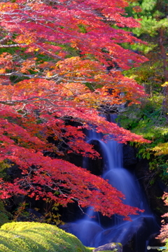 古峯神社 峯の滝
