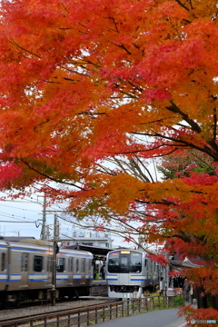 北鎌倉駅を出る横須賀線