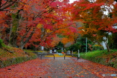 鷺森神社・参道