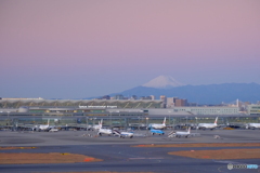 ビーナスベルト羽田