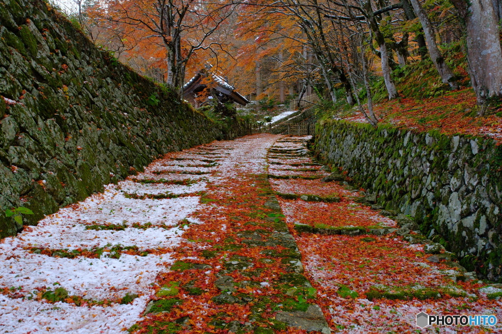 雪と紅葉の百済寺