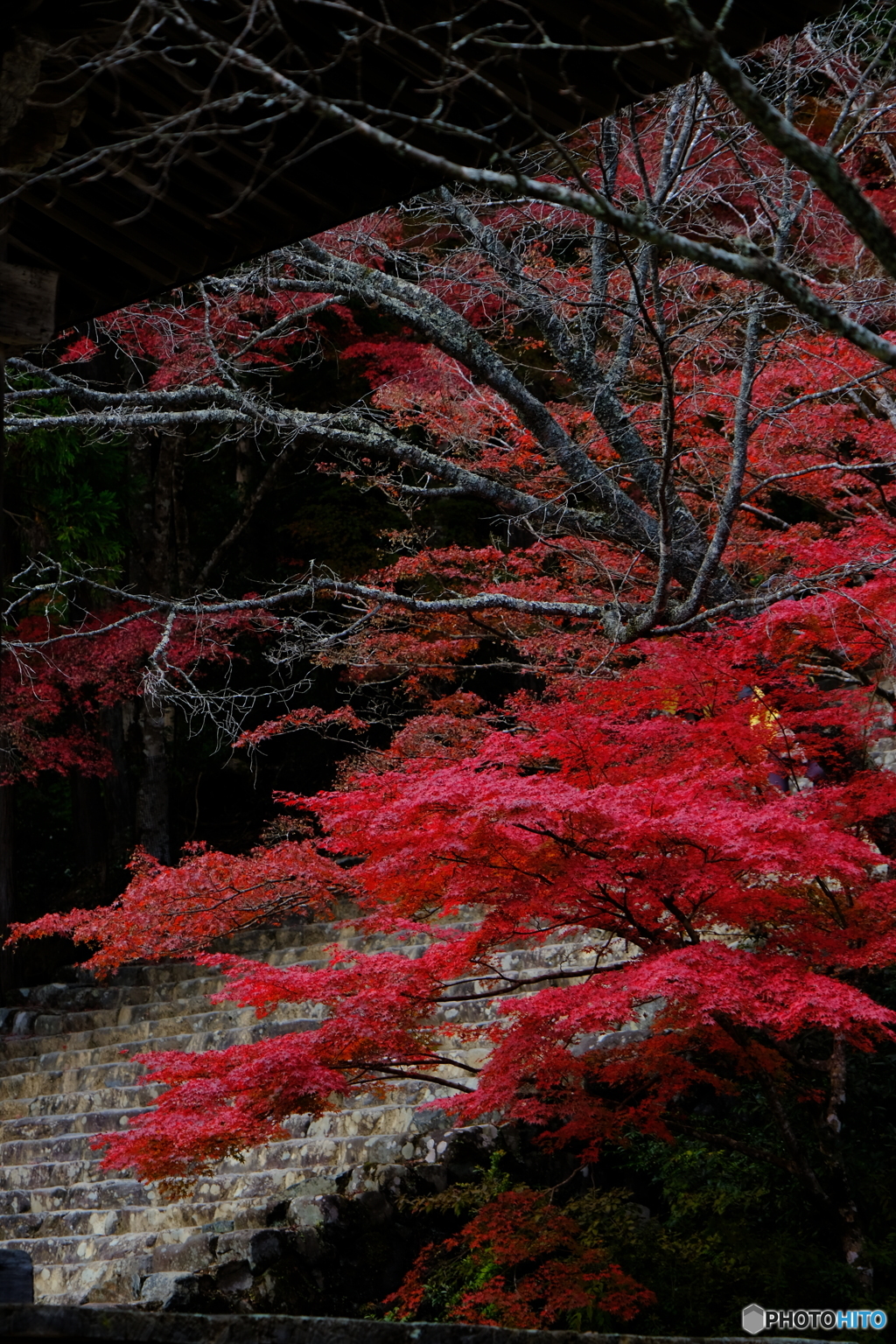 真紅の階