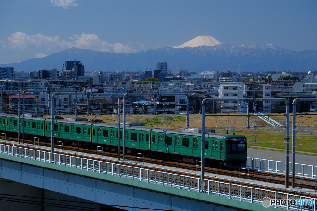 緑の列車