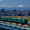緑の列車