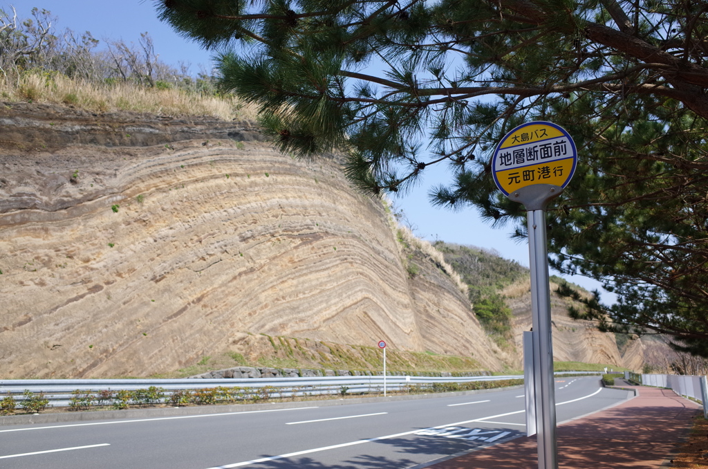 バス停の名前がそのまんま...
