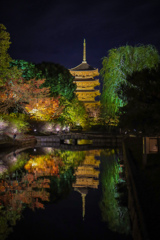京都東寺　瓢箪池と紅葉と五重の塔と...